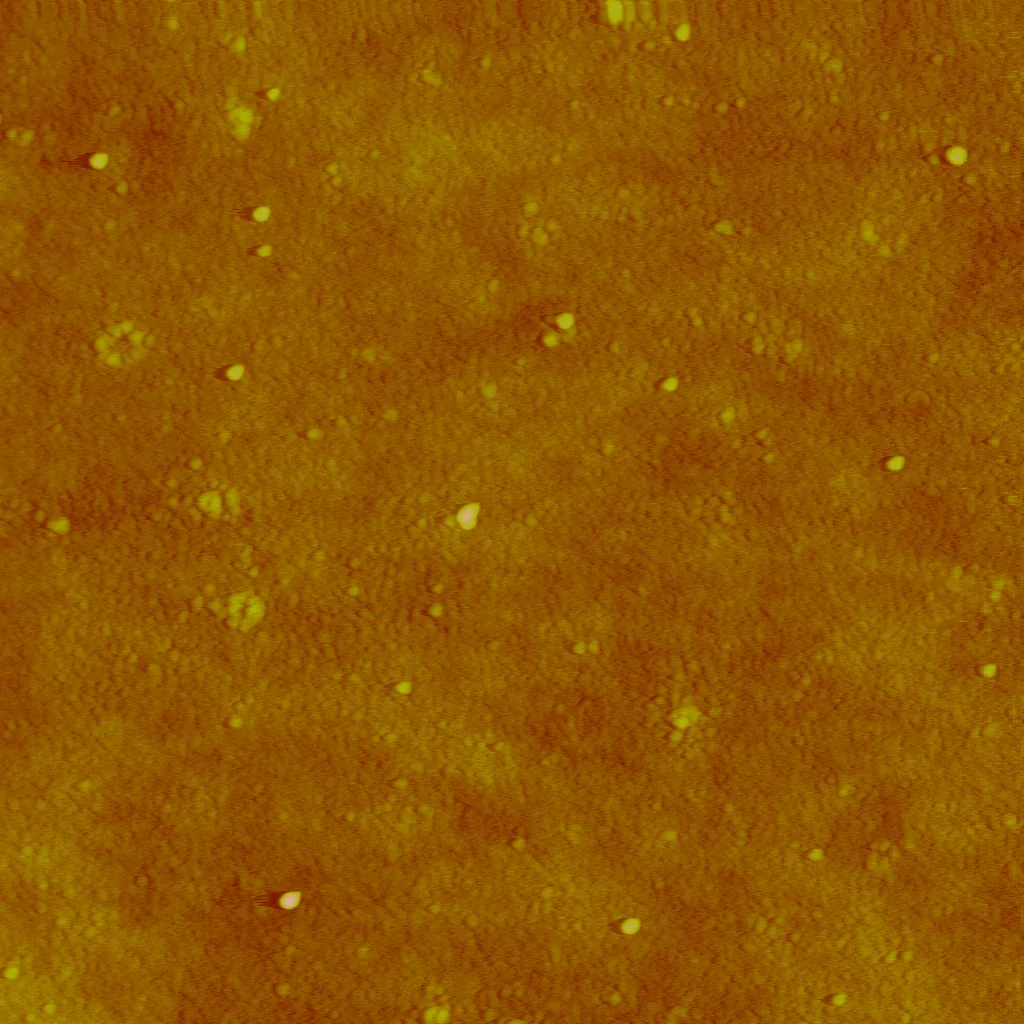 Atomic force microscopy height map of silver nanoparticles; brighter areas represent greater height