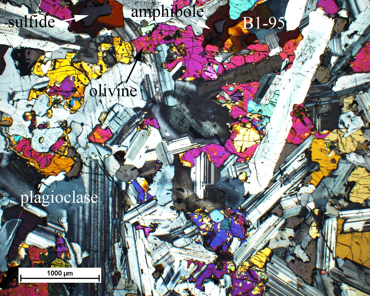 Colorful cross-polarized mineral photomicrograph with mineral labels and a 1000 micrometer scale bar